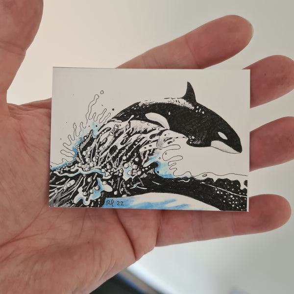 Whale ACEO Print
