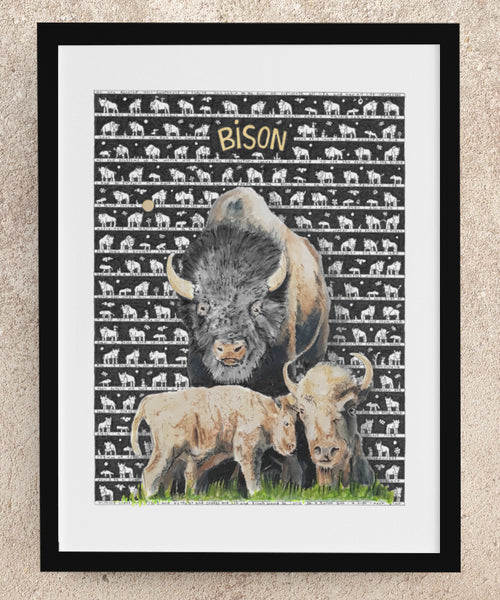 Bison Fine Art Print - The Tiny Art Co