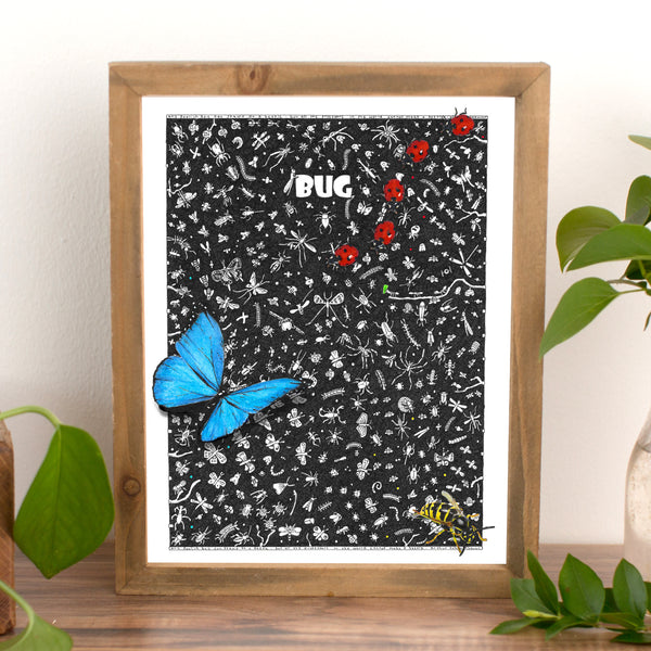Bug Fine Art Print - The Tiny Art Co